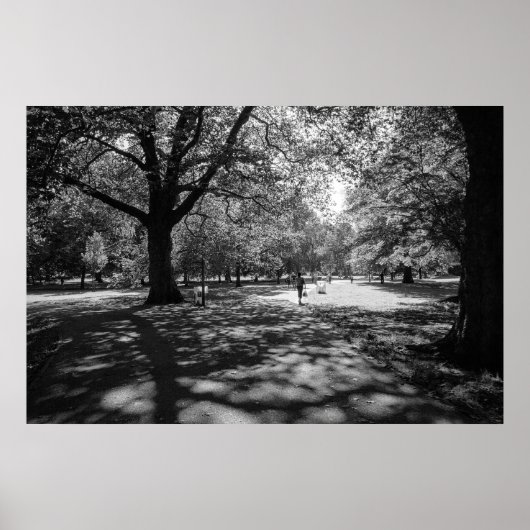 Bute Park an einem Sommernachmittag. Cardiff, Wale Poster (Vorne)