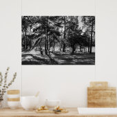 Bute Park an einem Sommernachmittag. Cardiff, Wale Poster (Küche)