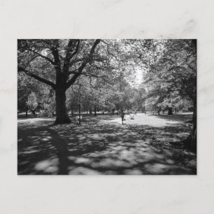 Bute Park an einem Sommernachmittag. Cardiff Wales Postkarte