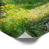 Bute Park, Cardiff, Wales. Poster (Ecke)