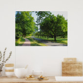 Bute Park, Cardiff, Wales. Poster (Küche)