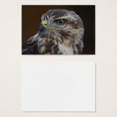 Buteo buteo (Vorne & Hinten)