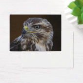 Buteo buteo (Schreibtisch)