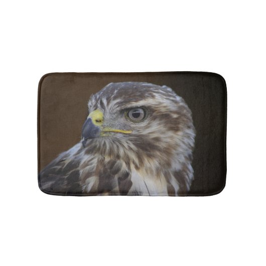 Buteo buteo badematte (Vorderseite)