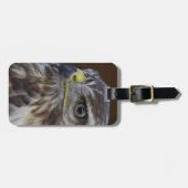 Buteo buteo gepäckanhänger (Vorderseite horizontal)