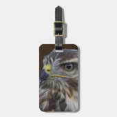 Buteo buteo gepäckanhänger (Vorderseite vertikal)