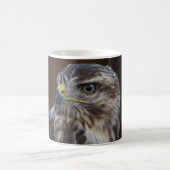 Buteo buteo kaffeetasse (Mittel)
