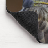 Buteo buteo mousepad (Ecke)