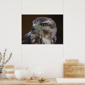 Buteo buteo poster (Küche)