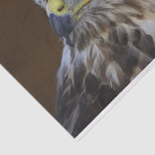 Buteo buteo seidenpapier (Ausschnitt)