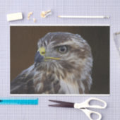 Buteo buteo seidenpapier (Handwerk)