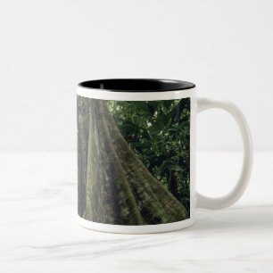 Butte Baum im Regenwald, Corcovado Zweifarbige Tasse
