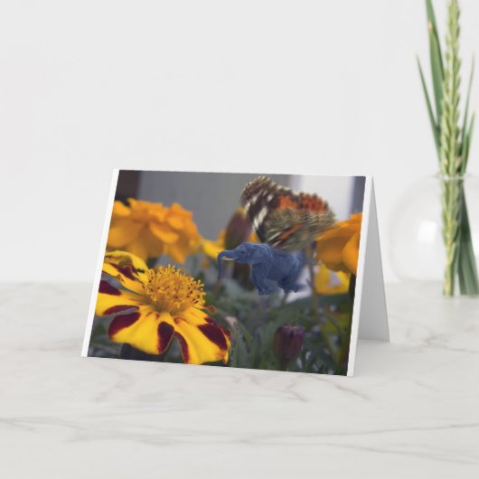 Buttephant Karte (Vorderseite)