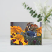 Buttephant Postkarte (Stehend Vorderseite)