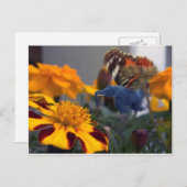 Buttephant Postkarte (Vorne/Hinten)