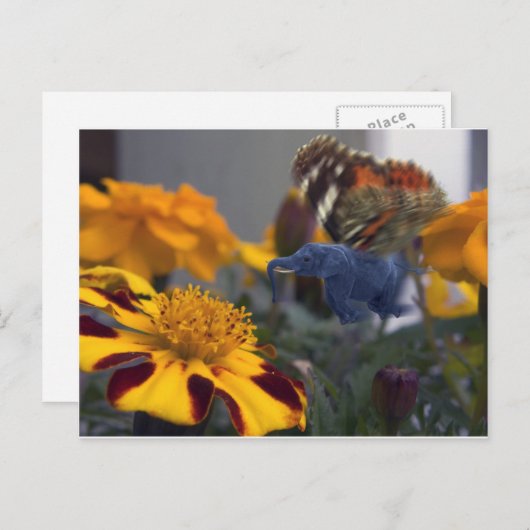 Buttephant Postkarte (Vorne/Hinten)