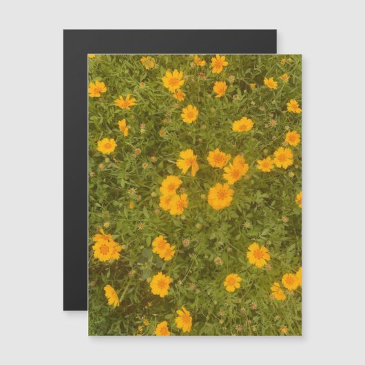 Butter Daisy Garden Magnet (Vorne/Hinten)