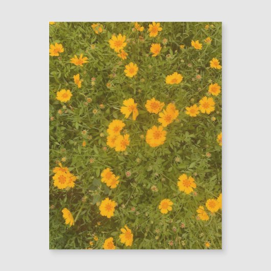 Butter Daisy Garden Magnet (Vorderseite)