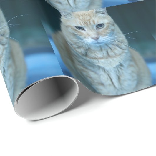 Butter Geschenkpapier (Rolleneckpunkt)