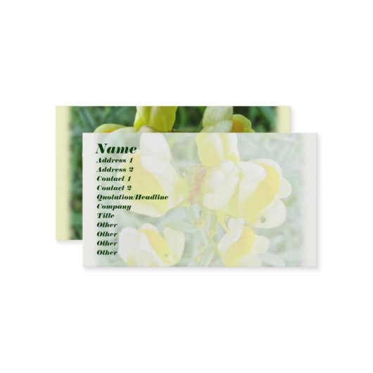 Butter 'n Egg Wildblume Visitenkarte (Vorderseite/Rückseite Beispiel)