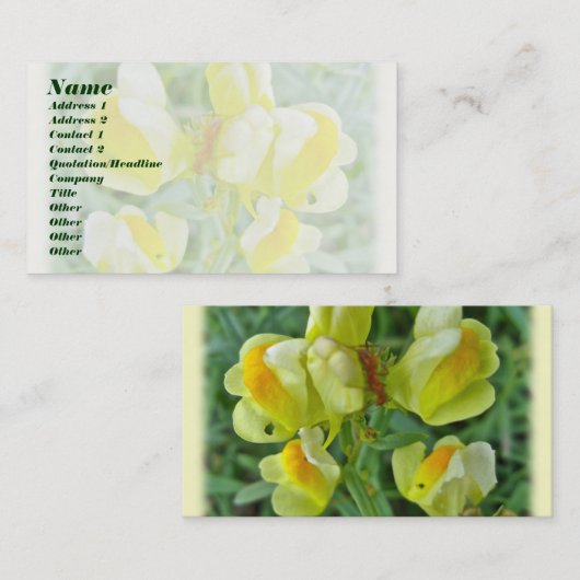 Butter 'n Egg Wildblume Visitenkarte (Vorne/Hinten)