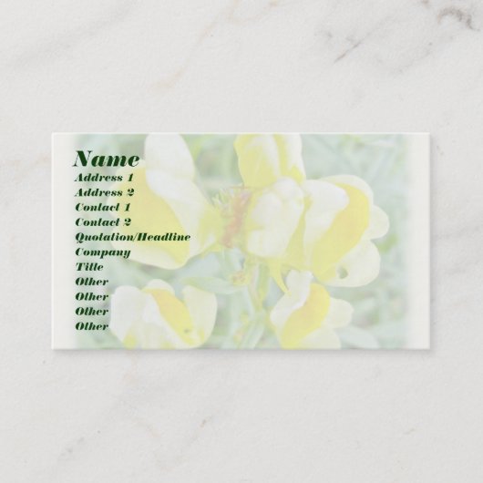 Butter 'n Egg Wildblume Visitenkarte (Vorderseite)