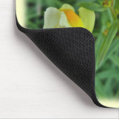 Butter 'n Eggs Wildblume Koordination Elemente Mousepad (Ecke)