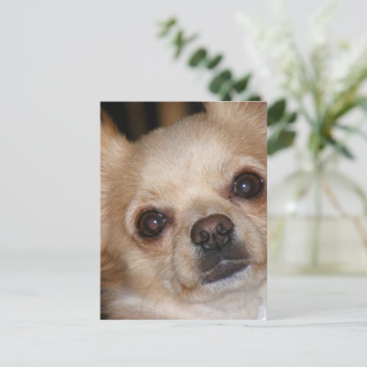 Butter Postkarte (Stehend Vorderseite)