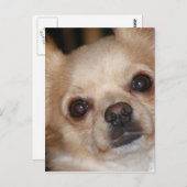 Butter Postkarte (Vorne/Hinten)