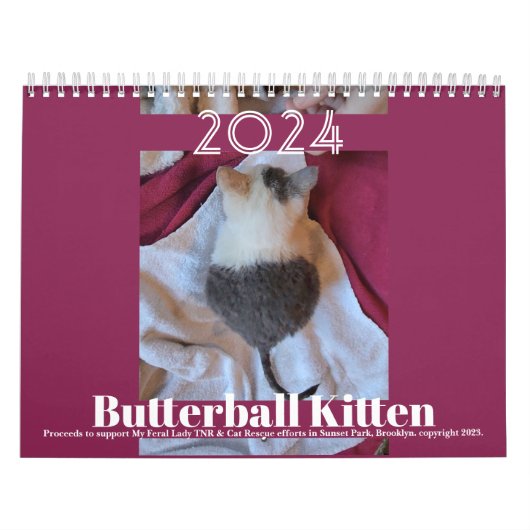 Butterball Kitten: Kalender 2024 (Titelbild)