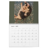 Butterball Kitten: Kalender 2024 (Mär 2027)