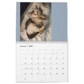 Butterball Kitten: Kalender 2024 (Jan 2027)