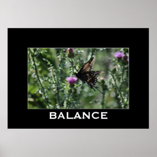 Butterblende und dünne BALANCE Inspiration Poster