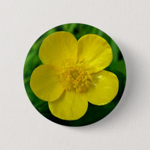 Butterblume Button
