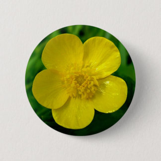 Butterblume Button