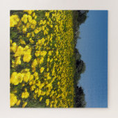 Butterblume-Feld Puzzle (Horizontal)