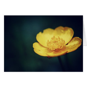 Butterblume-Karte