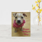 Butterblume Karte (Gelbe Blume)