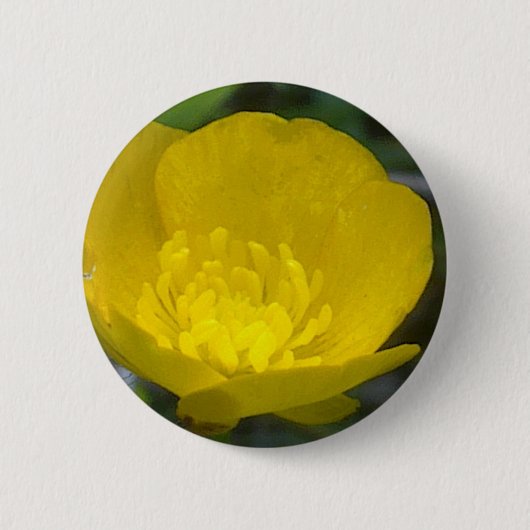 Butterblume-Knopf Button (Vorderseite)