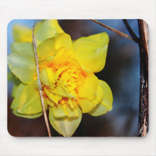 Butterblume Mousepad (Vorne)