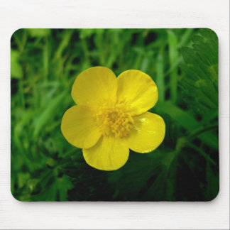 Butterblume Mousepad