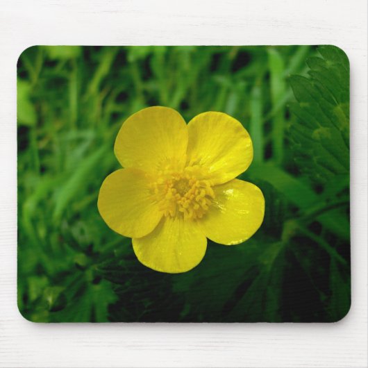 Butterblume Mousepad (Vorne)