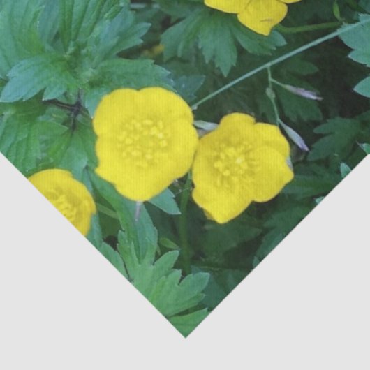 Butterblume-themenorientiertes Seidenpapier (Ausschnitt)