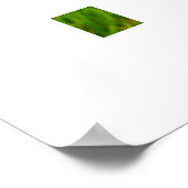 Butterblumen poster (Ecke)