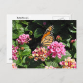 Butterblumen Postkarte (Vorne/Hinten)