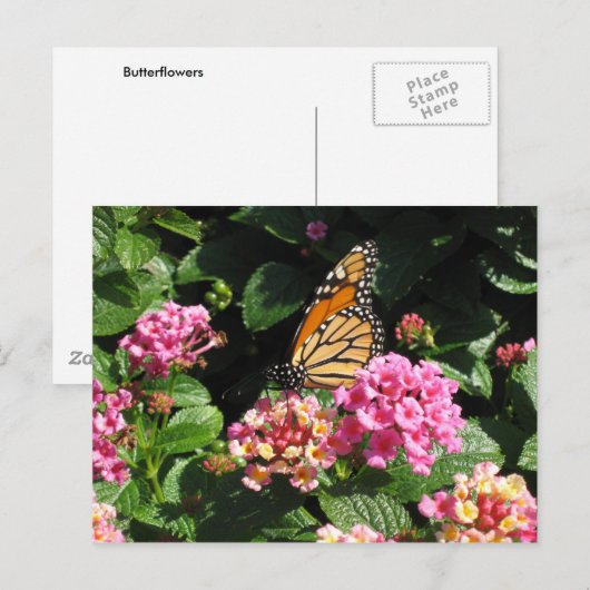 Butterblumen Postkarte (Vorne/Hinten)