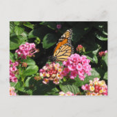 Butterblumen Postkarte (Vorderseite)