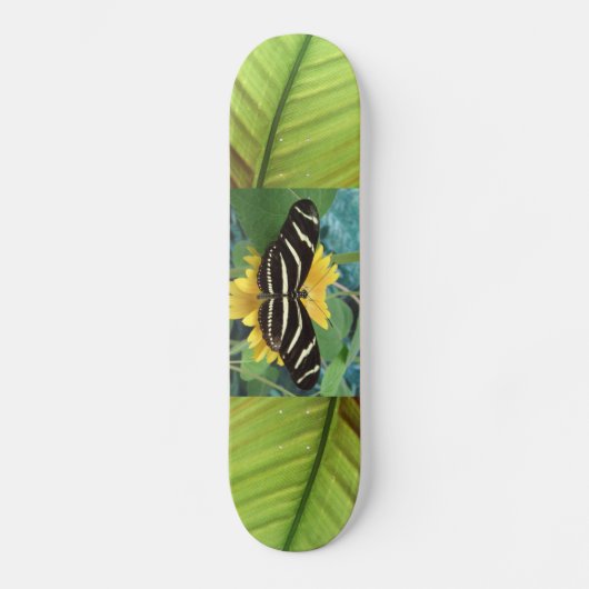 Butterbrett Skateboard (Vorderseite)