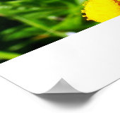 Buttercheeta-Poster Poster (Ecke)