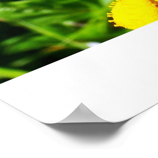 Buttercheeta-Poster Poster (Ecke)